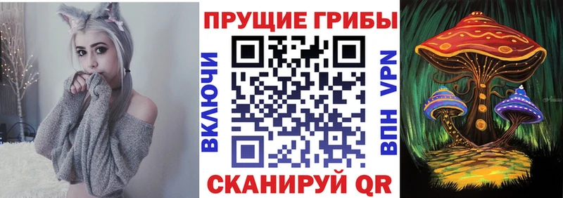 Купить закладки Кандалакша Псилоцибиновые грибы Magic Shrooms