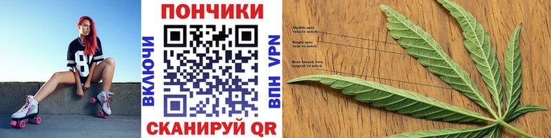 Бошки Шишки планчик  Купить  Кандалакша 